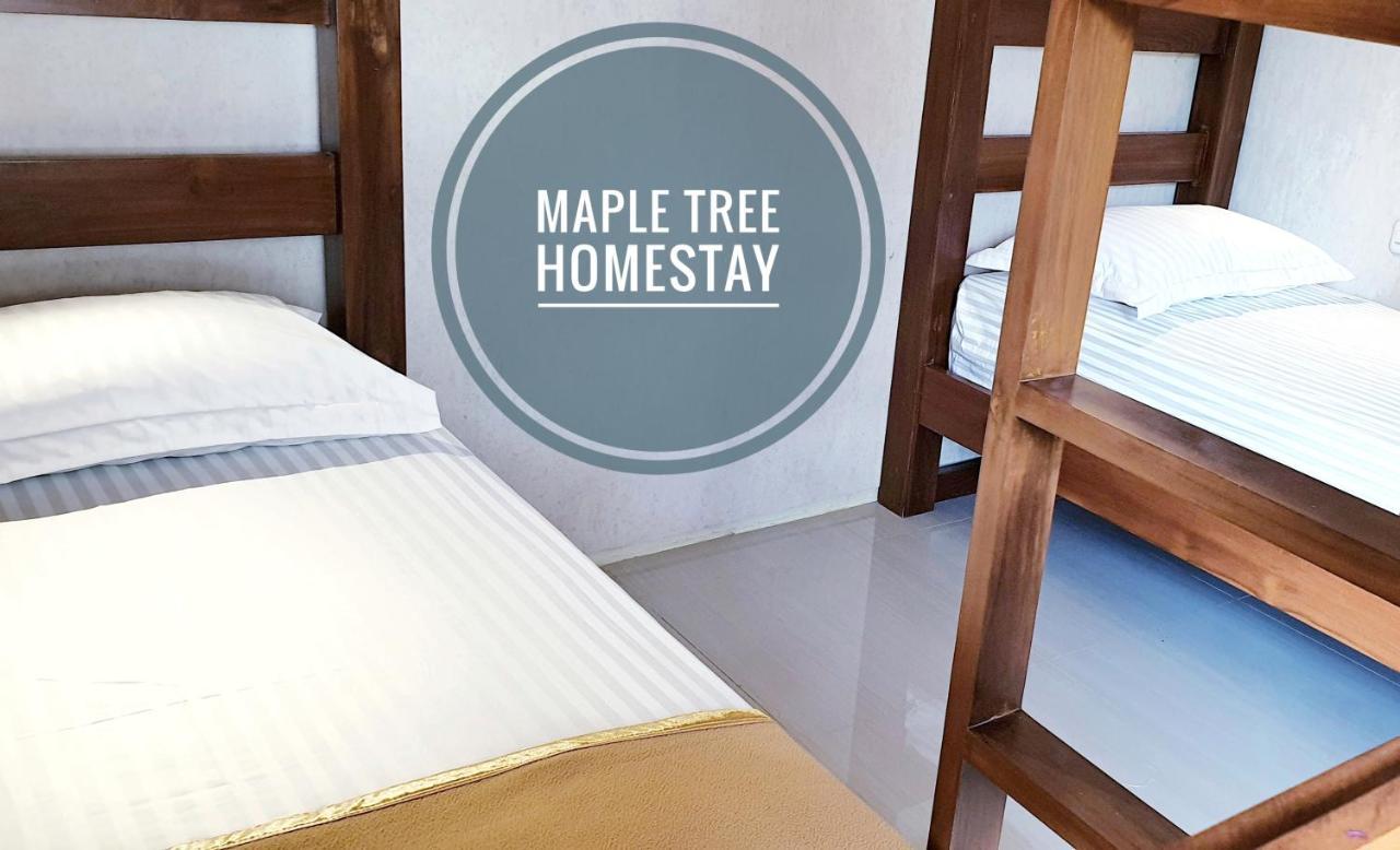 Maple Tree Homestay Maguwo Eksteriør billede