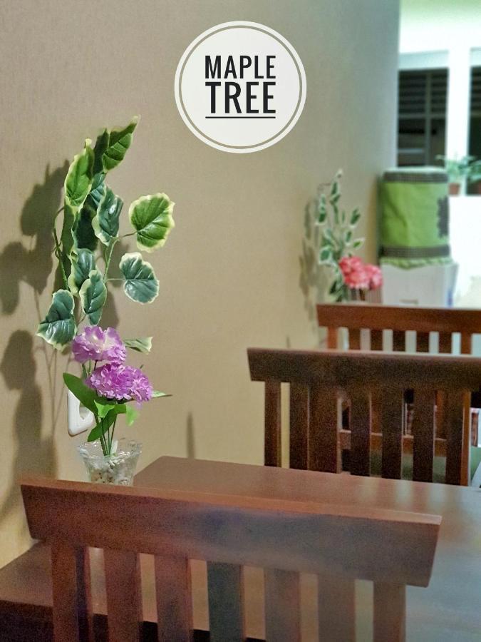 Maple Tree Homestay Maguwo Eksteriør billede